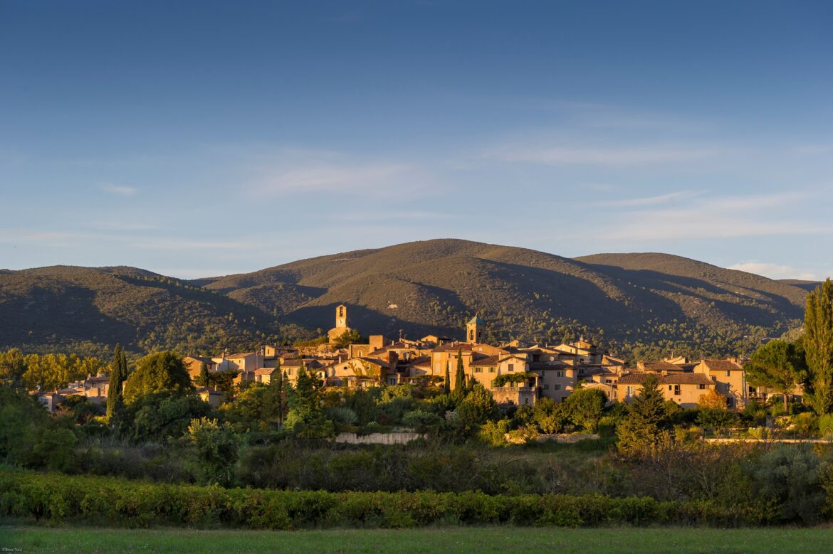 Demand for Rhône whites grows as appellation diversifies offering Demand for Rhône whites grows as appellation diversifies offering