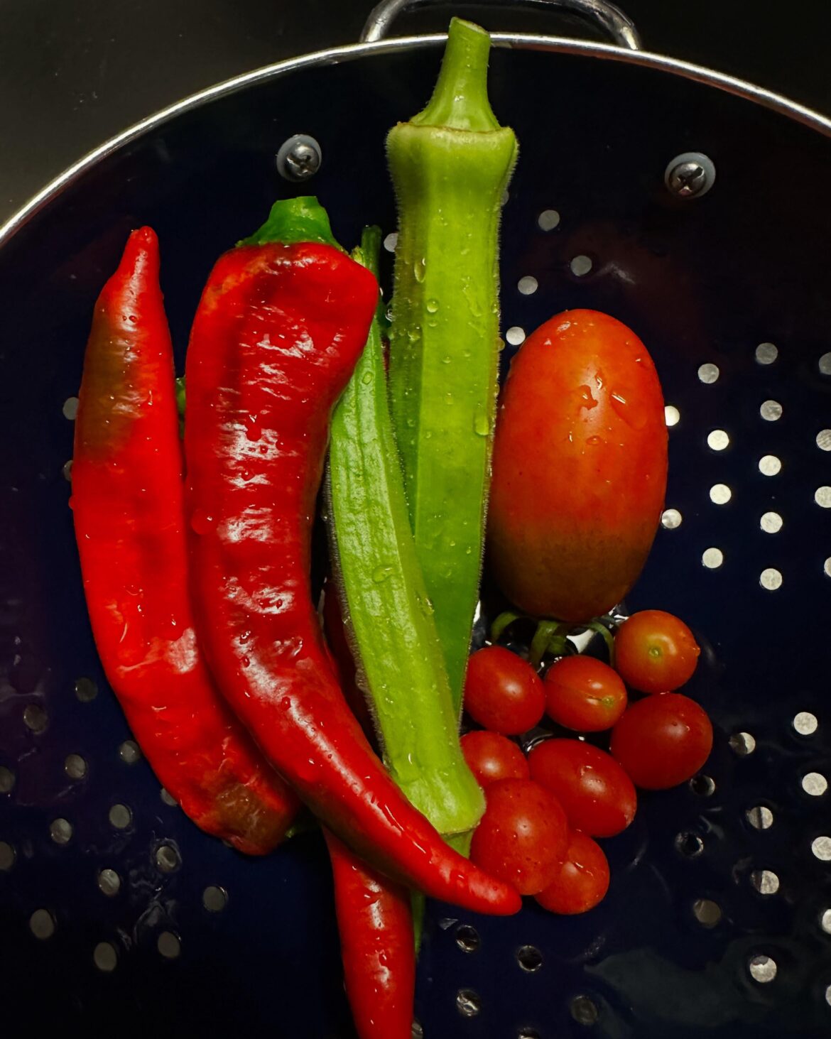 Holy crap! I grew something