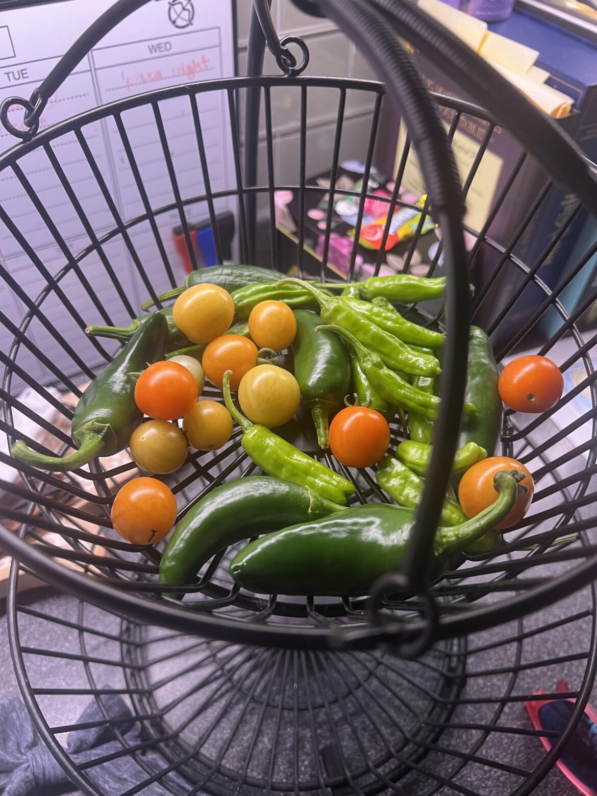 My first little harvest