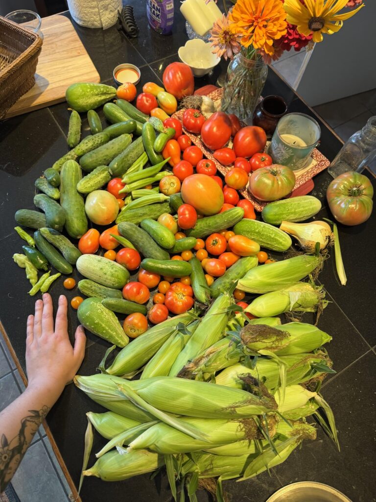 A rainy week harvest