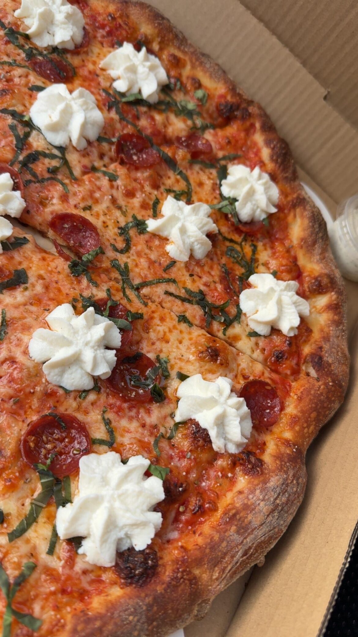 Feral Pizza - Panic Attack