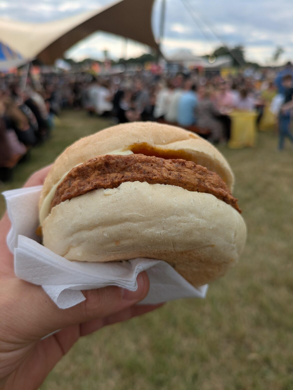 They dared to call this a burger and sell it for 7.50 (euro)