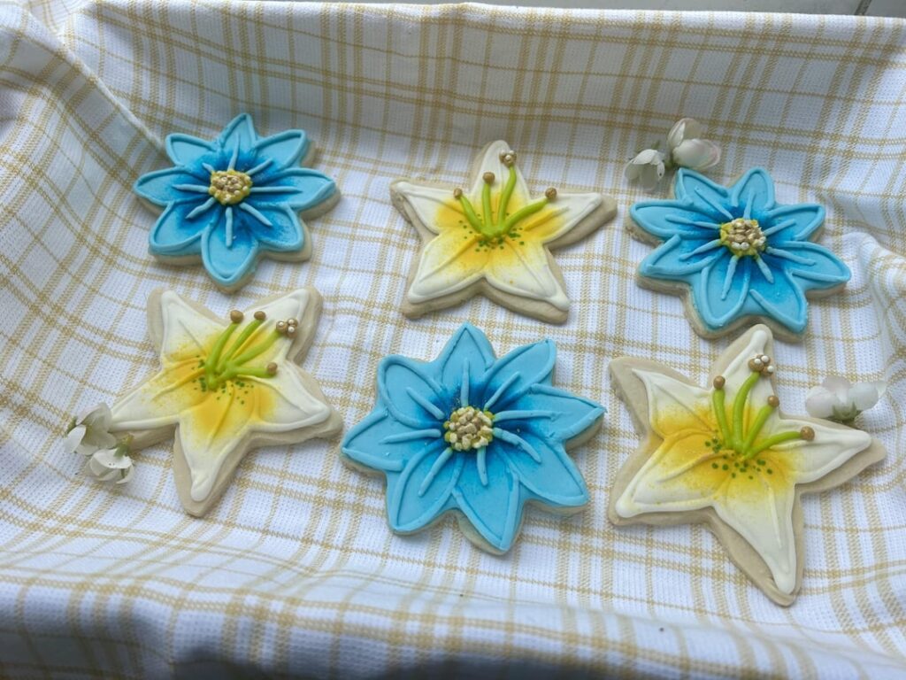 Glow-up…. Flowers a little over a year ago vs flowers today ☺️