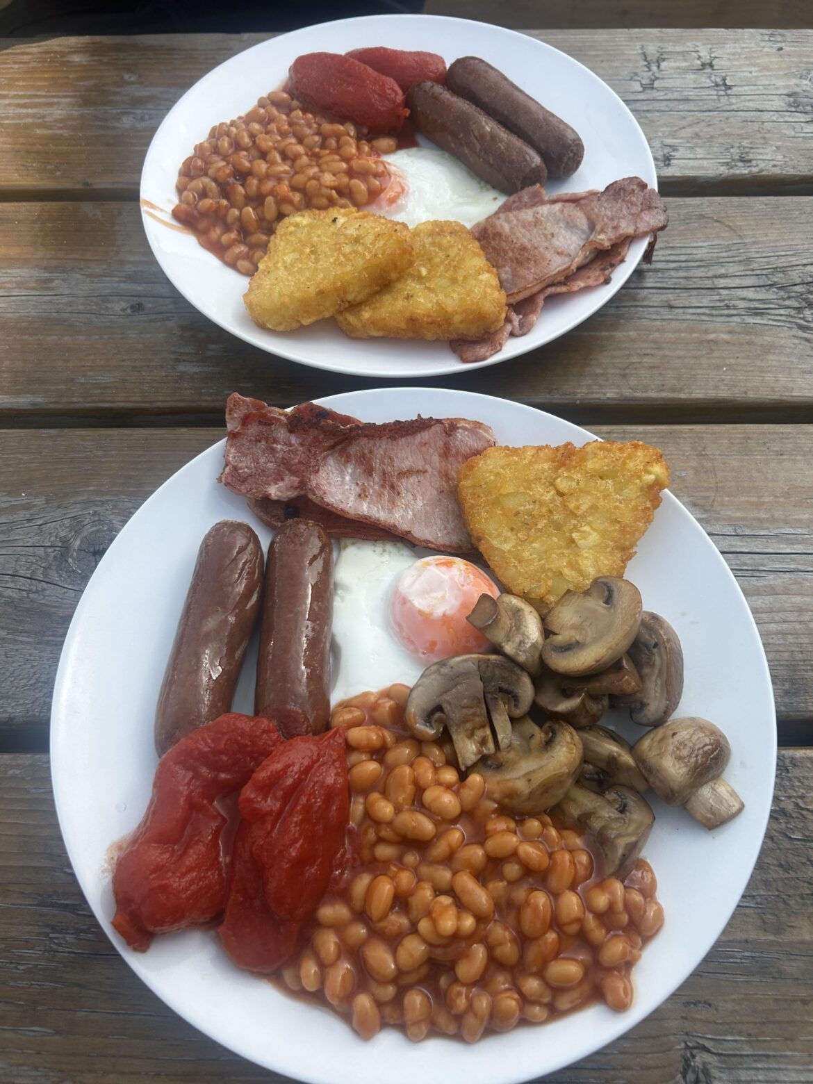 Medium cafe fry, NW Cheshire Uk, £10.