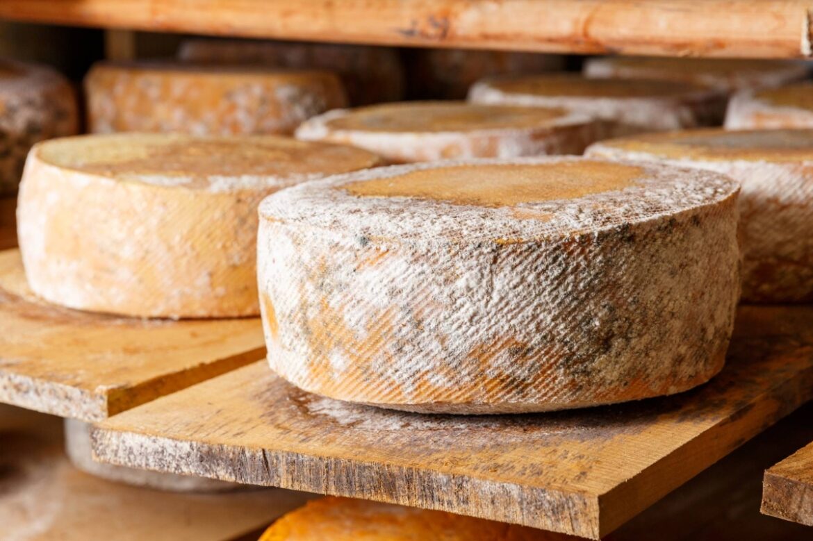 The great British cheese heist gets personal
