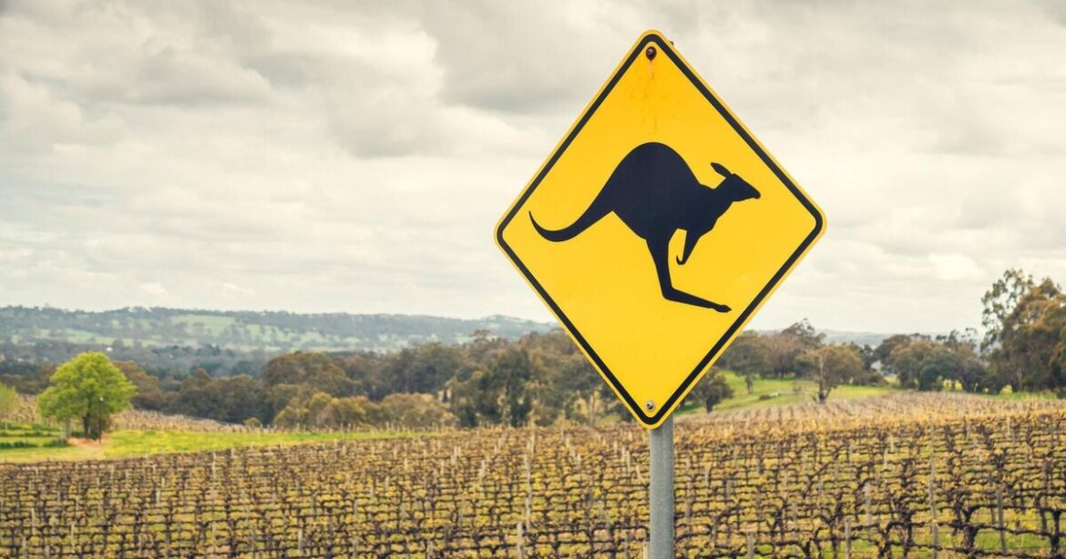 The best of Australian and New Zealand wines