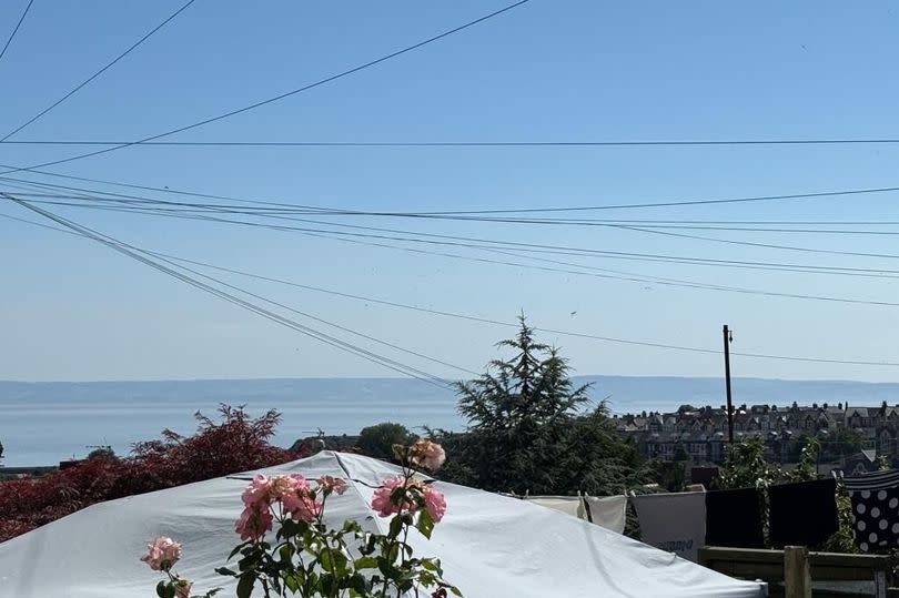 The view from the garden