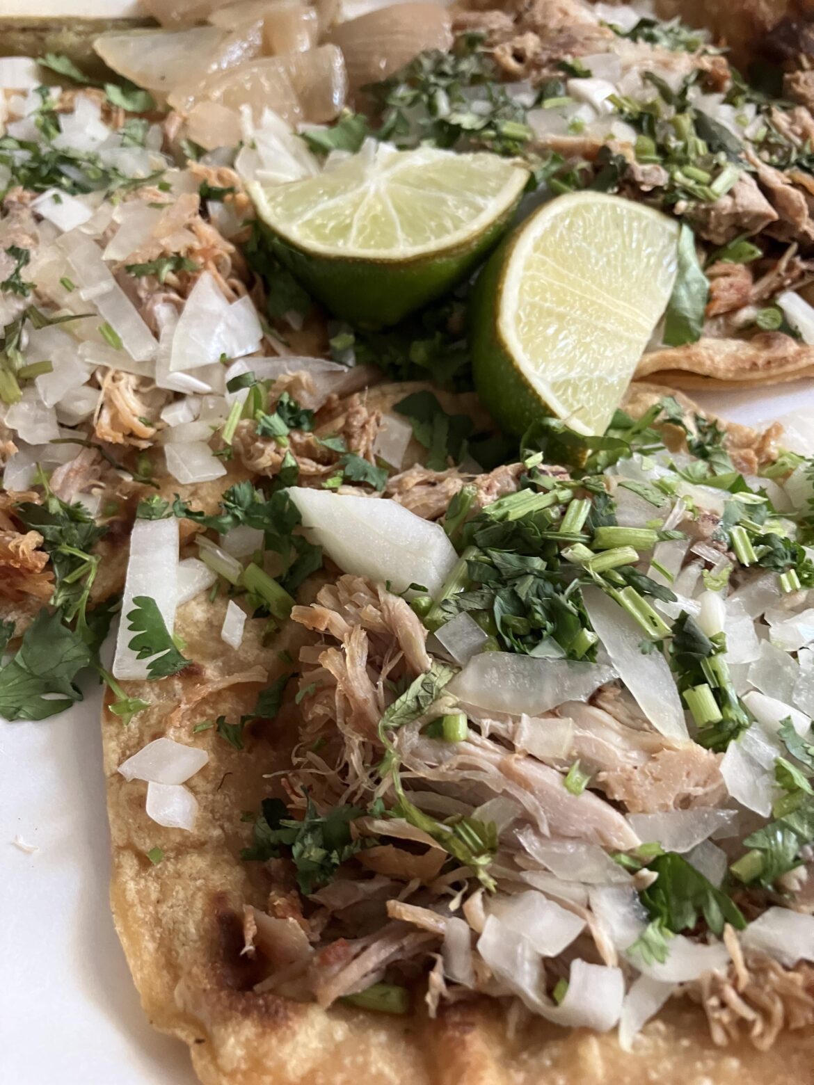 Carnitas from Lopez Taqueria in Sunnyvale