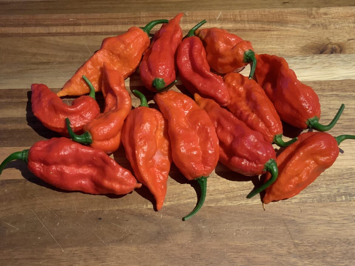 I ain’t ‘fraid of no ghost.