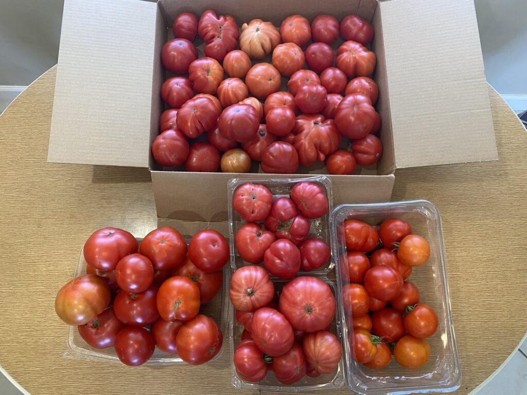Nice Harvest Today