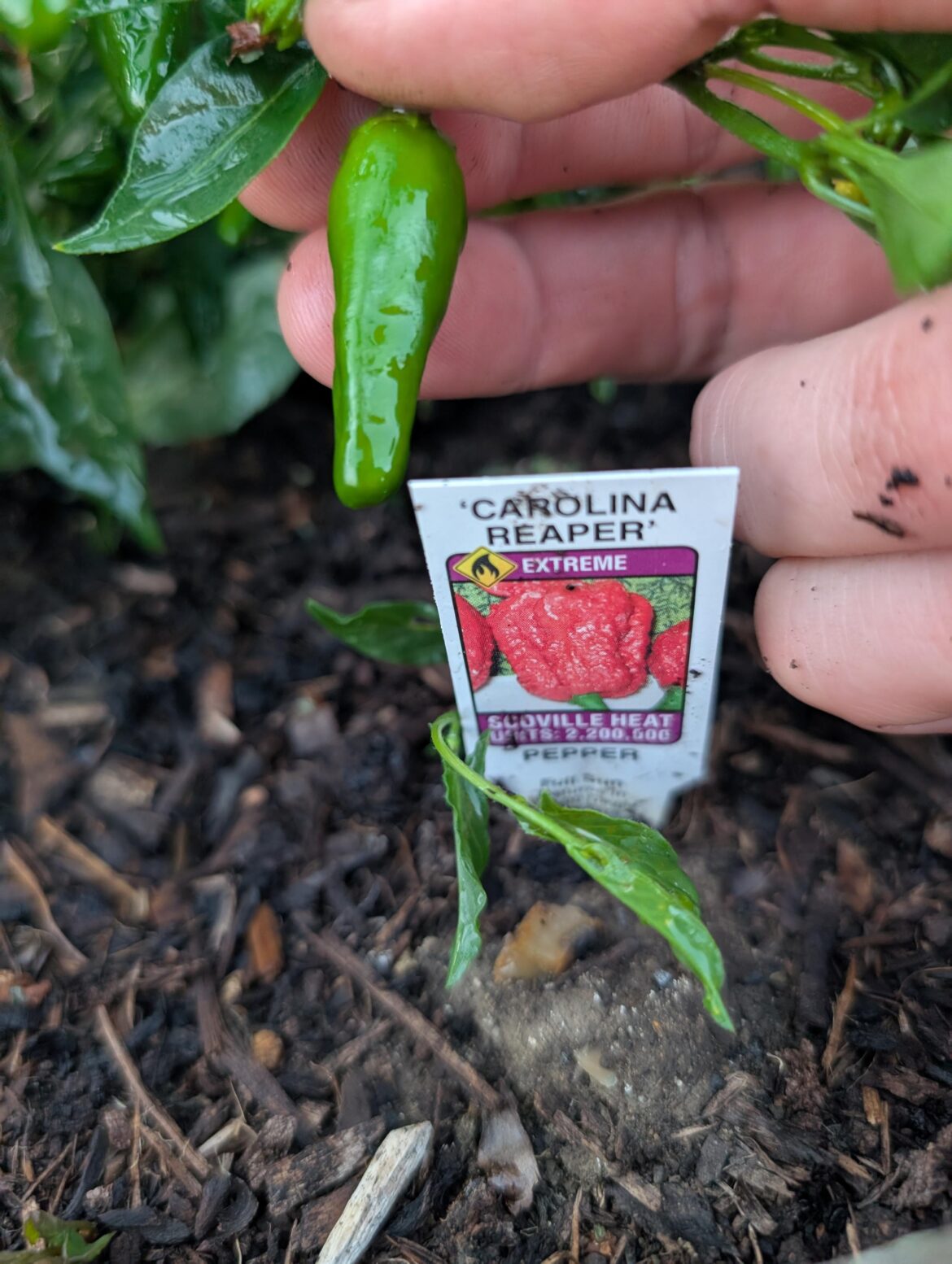 I fear I have been mis-sold