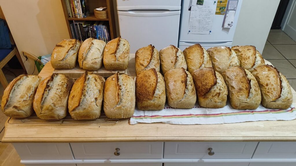 My first time baking in bulk