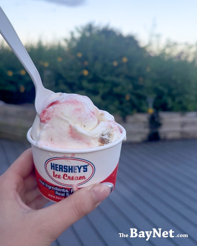 Top Restaurants Cold Penguin Ice Cream North Beach Review