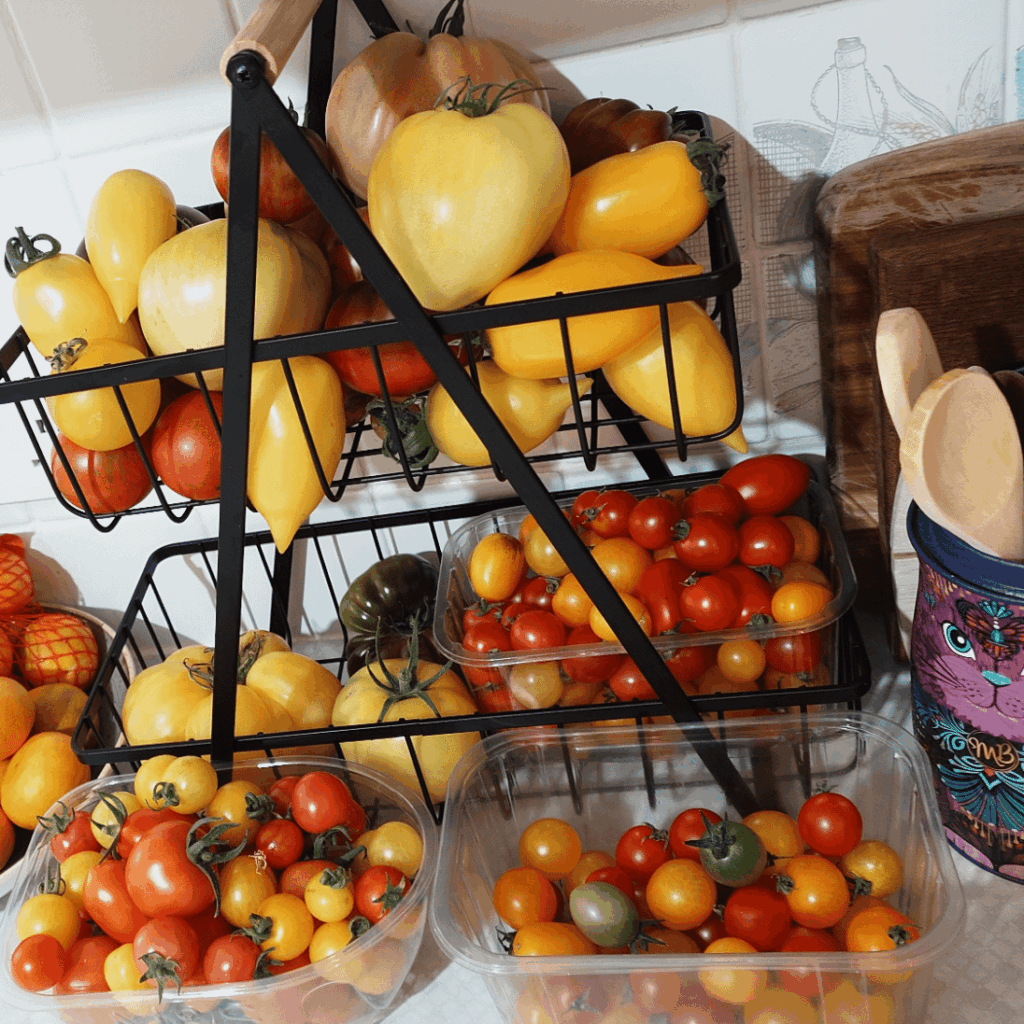 Harvested a nice selection