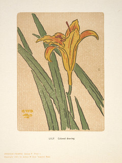 Arthur Wesley Dow: Lily (1901)