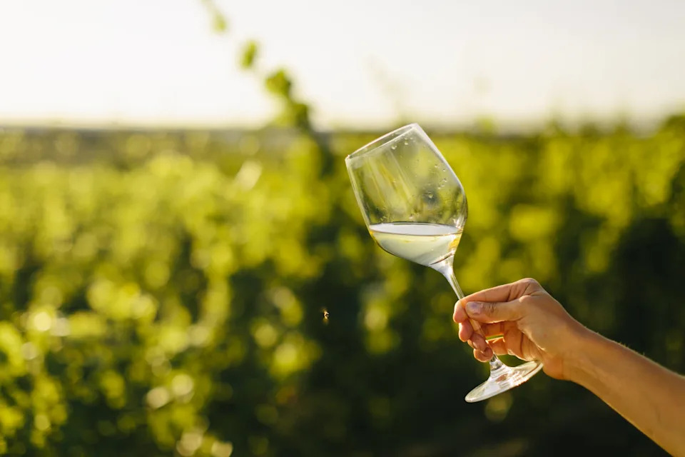 The Traverse City Food and Wine event features more than 70 events at restaurants, wineries and in downtown Traverse City August 20-24.