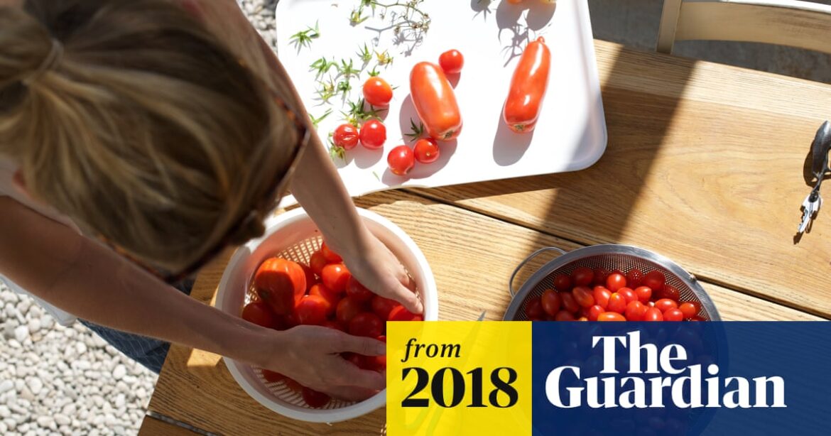 Rich pickings: a harvest-time foodie break in the Abruzzo | Italy holidays