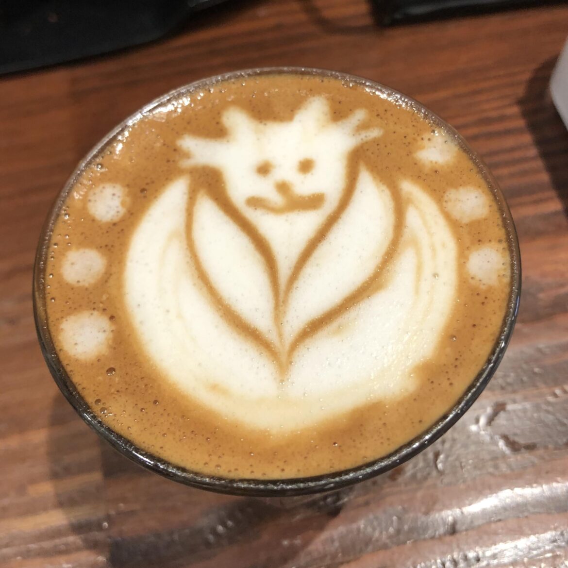 kitty cortado!
