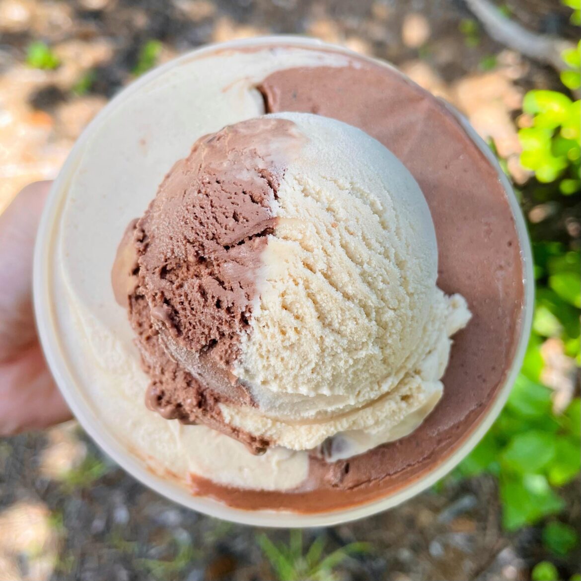 Malted Peanut Butter and Chocolate ice cream Malted Peanut Butter and Chocolate ice cream