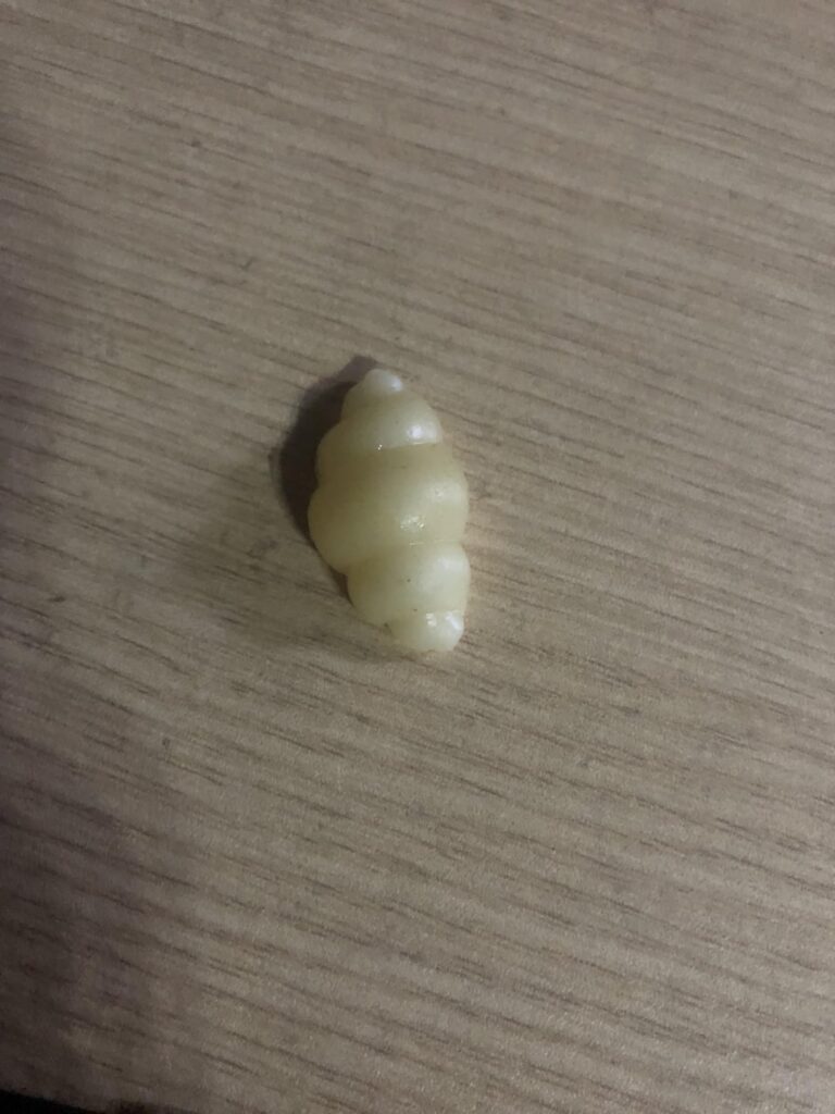 What is this type of pasta called?