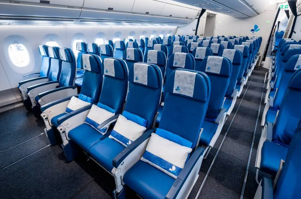 economy class on french bee.