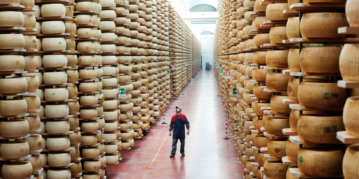 Italian Cheese Maker Killed by Avalanche of Falling Cheese Italian Cheese Maker Killed by Avalanche of Falling Cheese