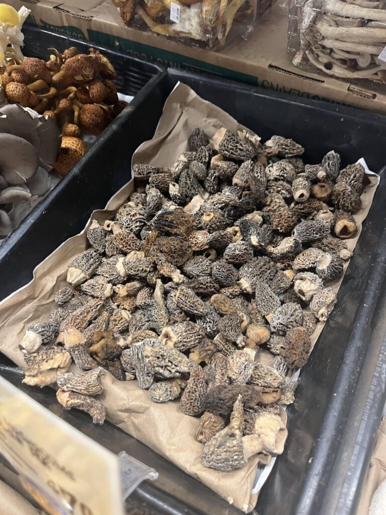 Morel mushrooms at Central market for the right price of $79/lb