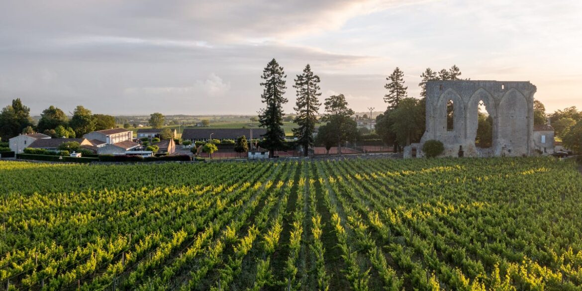 Best Wine Regions Everyone Should Visit, From Expert Who’s Been to 77 Best Wine Regions Everyone Should Visit, From Expert Who's Been to 77