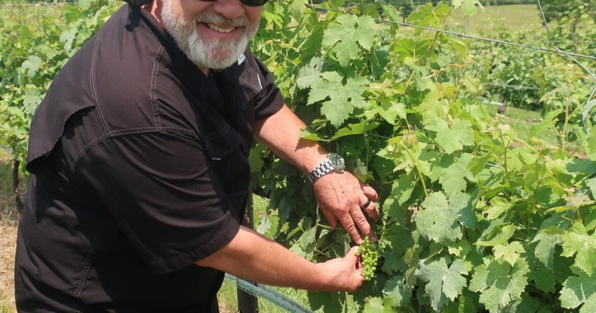 Clarke County winemaker receives prestigious recognition | Winchester Star