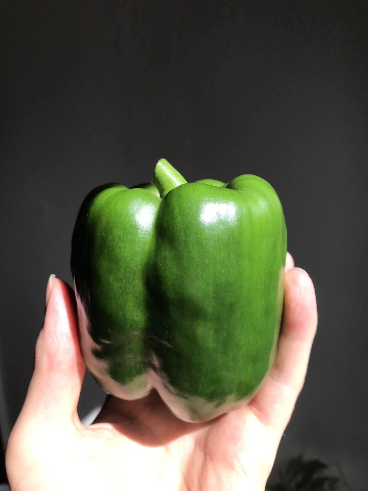 Harvested my first ever bell pepper today :)