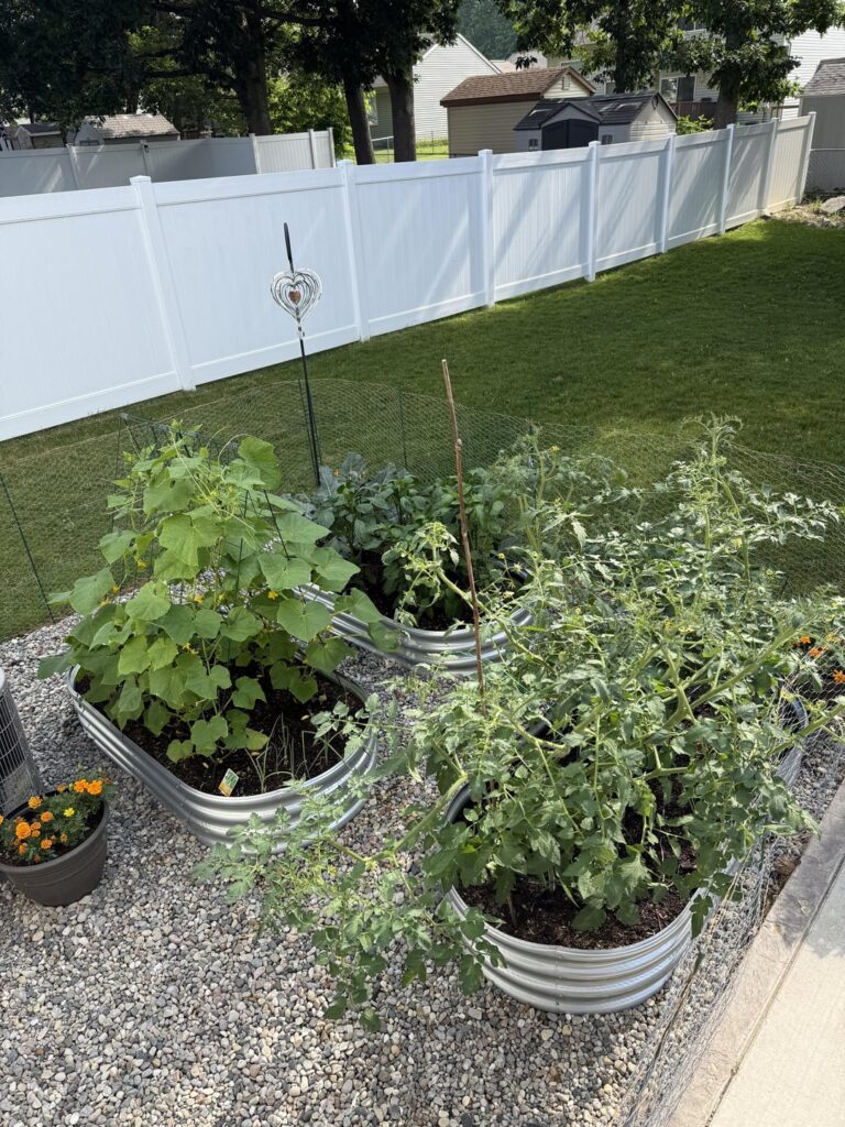 My first ever garden!