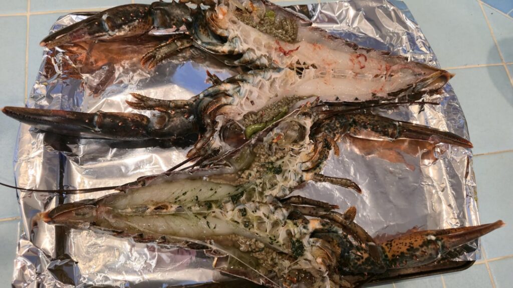 Live lobster for my wife’s birthday. 🦞 Live lobster for my wife's birthday. 🦞