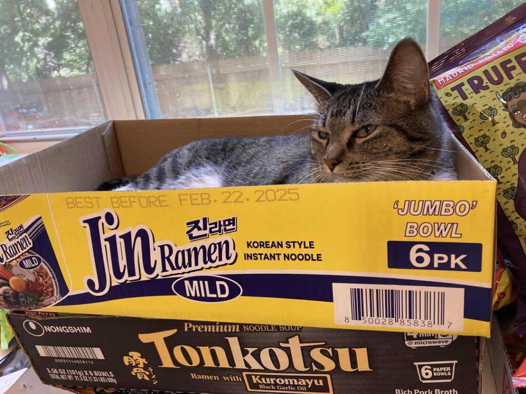 My stash - since apparently we are doing these confessionals now 🤣