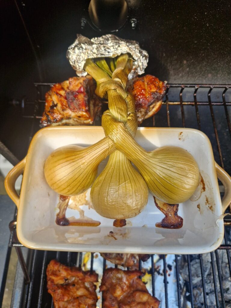 [Update] onion plait