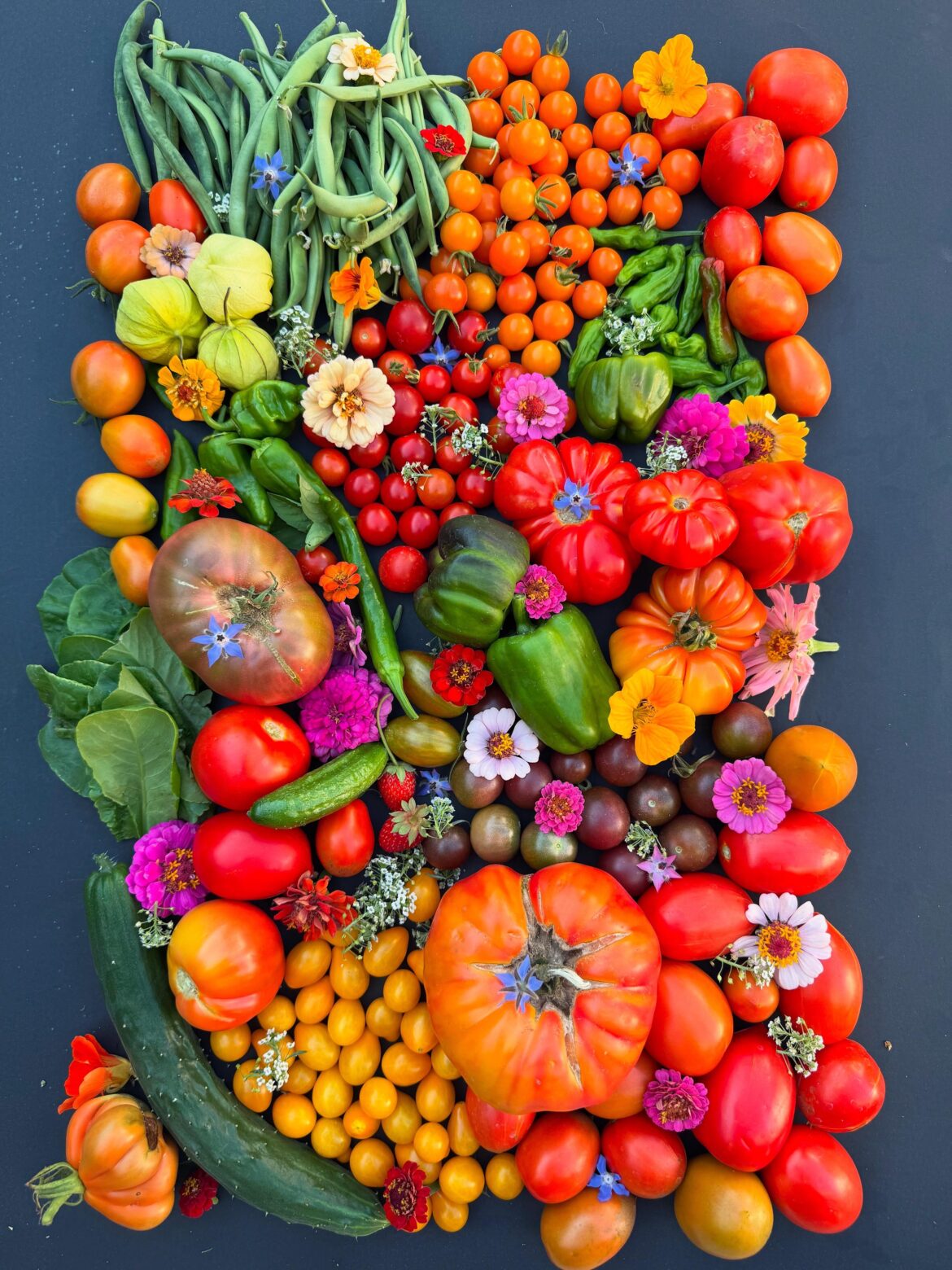 More 🌸🌺🌷🌻🌼=  Less Pests = Prettier Garden = Best Harvest Photos 🎨