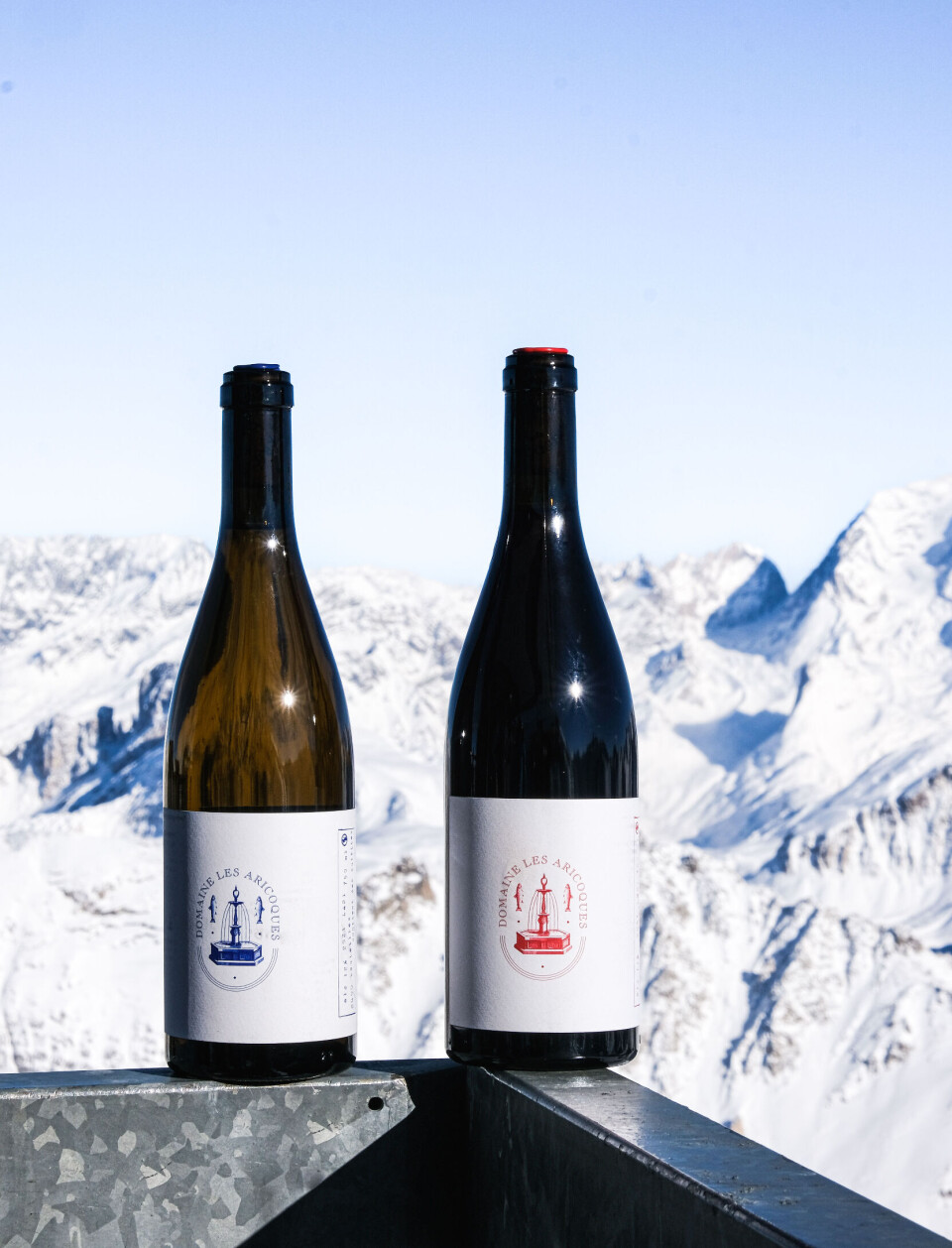Bottle of red and white wine against snowy mountain backdrop