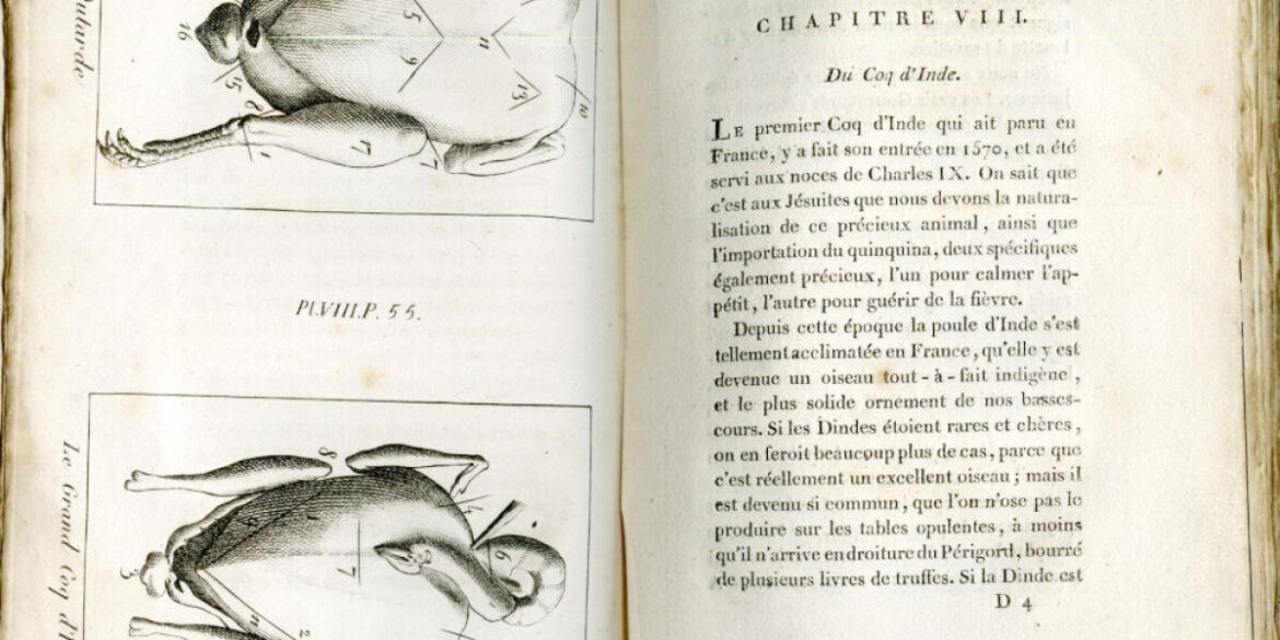 The Pioneer of Gastronomy Writing and French Culinary Criticism