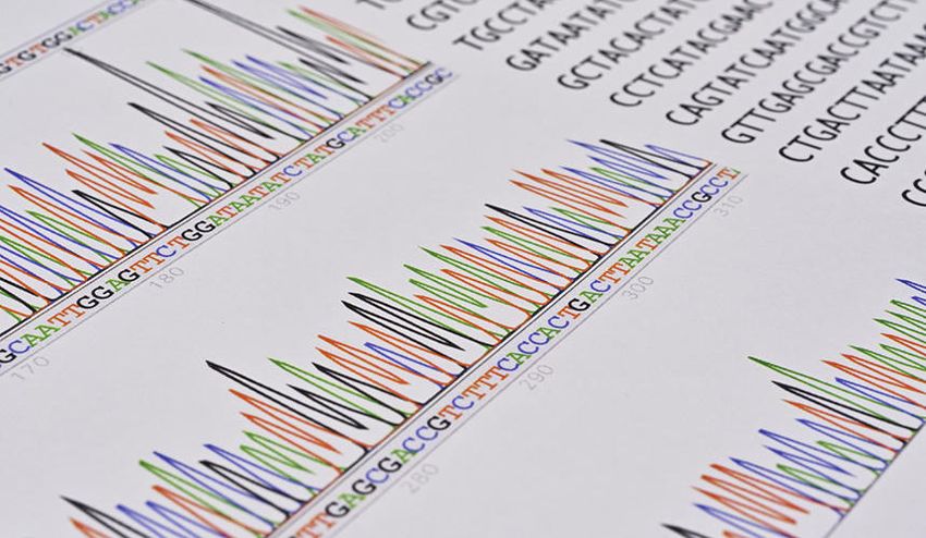 A DNA sequencing spectrogram