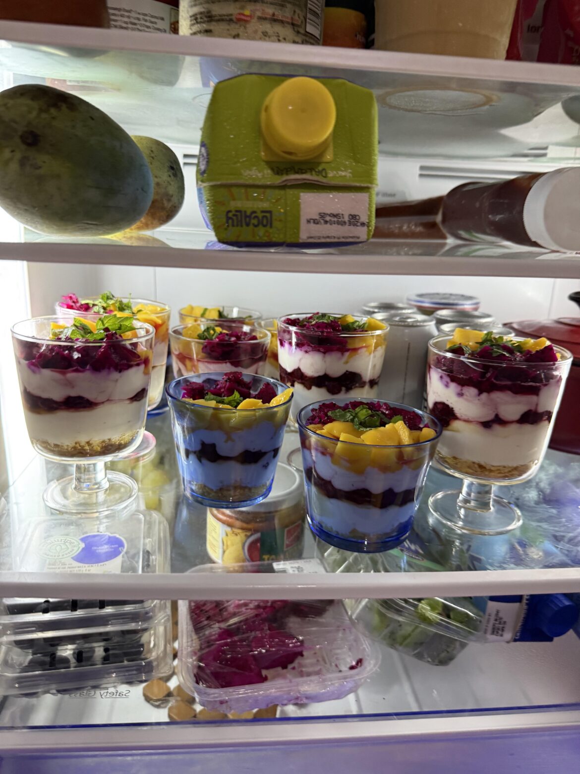 Homemade layered yogurt + fruit dessert!