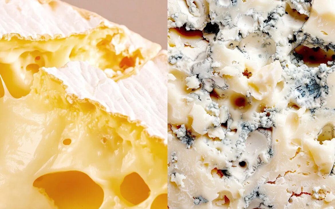 Four things the French can learn from the British about making cheese Yahoo lifestyle home