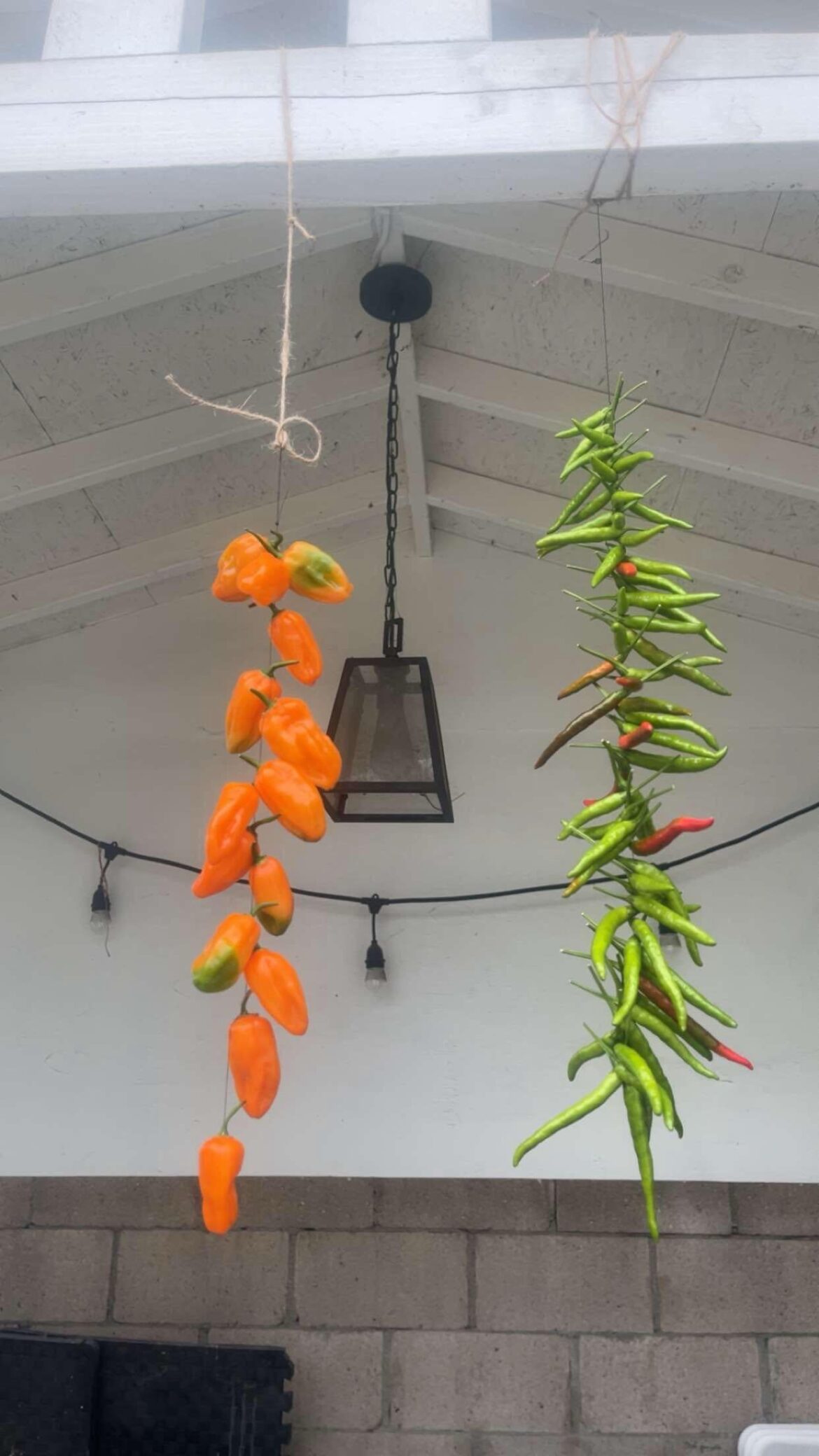 Just wanted to shared this