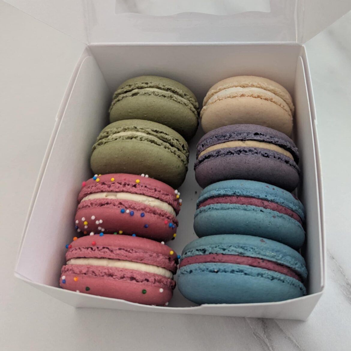 [I Ate] Animal Cookie, Pistachio, Blueberry, Earl Grey, and Vanilla Macarons