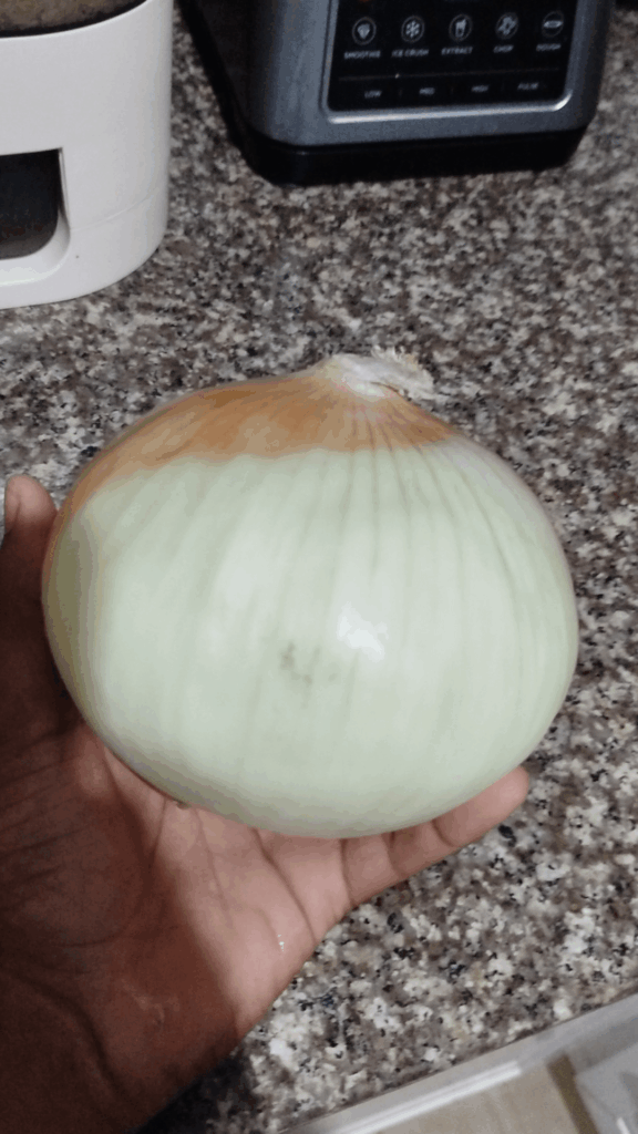 A big ass onion my mom brought