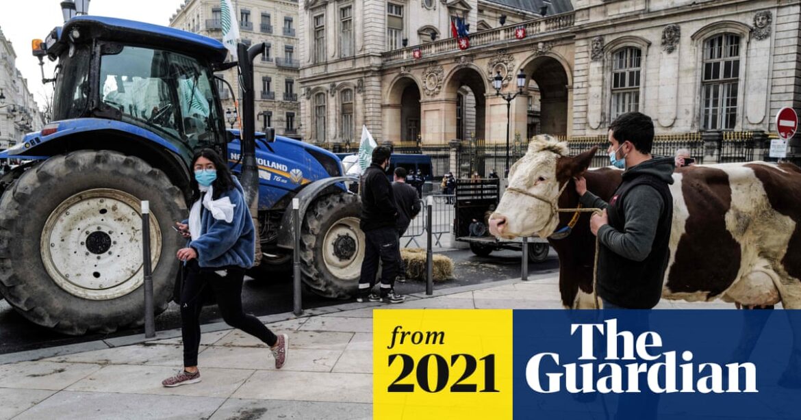 Meatless school menu sparks political row in France | France