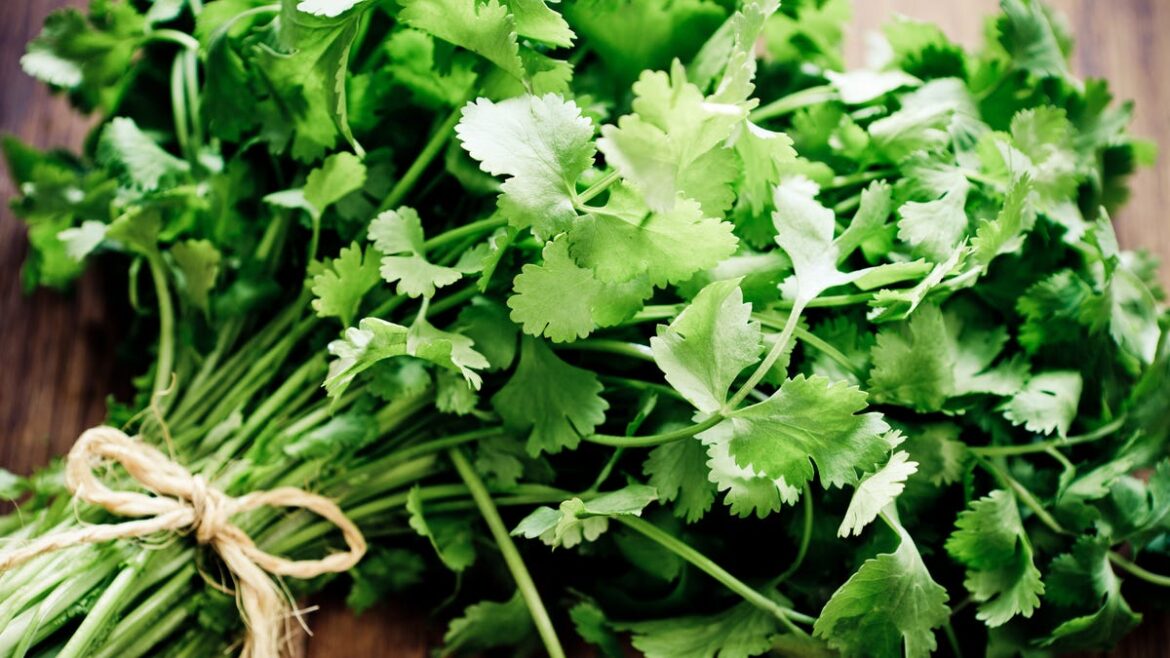 Why does cilantro taste like soap? And what nutrients does it offer?