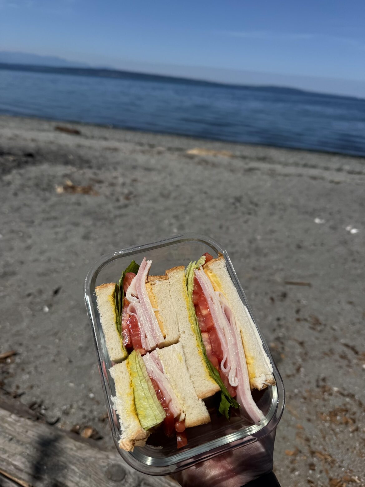 A simple post-hike sandwich