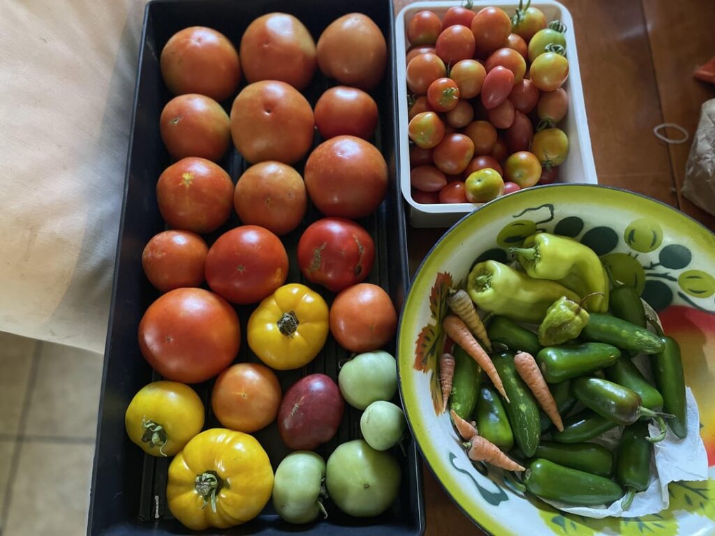 So excited about my harvest, I wanted to share! Southeast VA