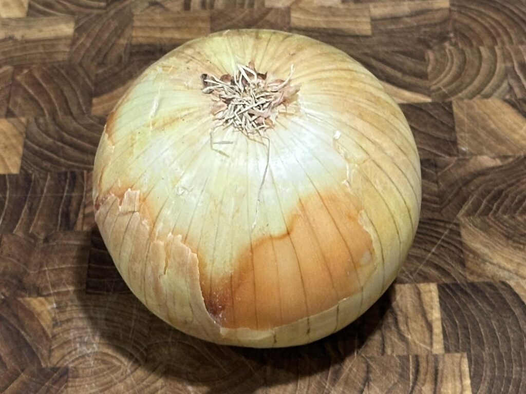 come with me on an onion journey
