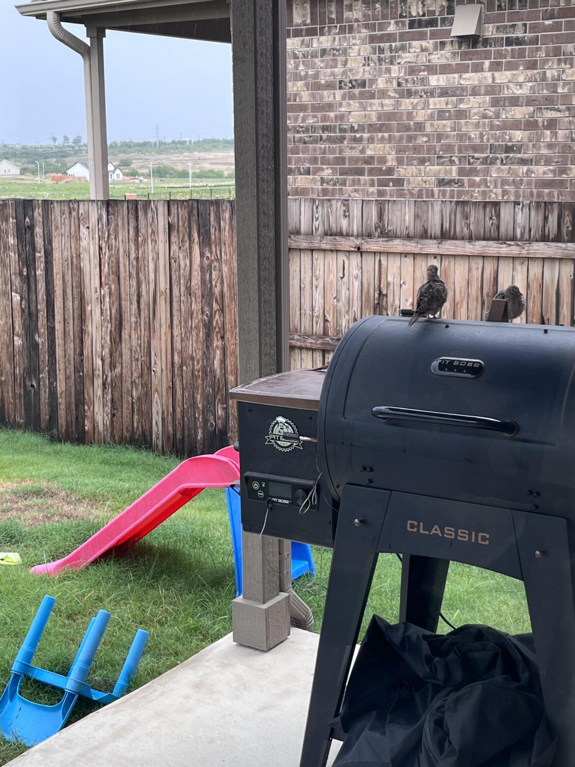 Forgot to put my cover on woke up to this