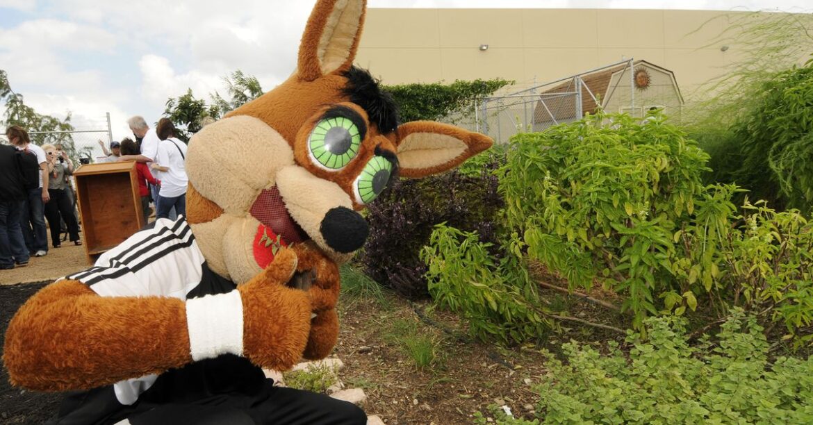 Spurs and SA Food Bank team up for summer food drive